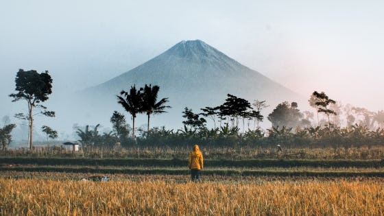 Foto: Ifan Bima / Unsplash