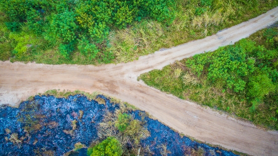Vraag naar secretaresse daalt, vraag naar directiesecretaresse stijgt