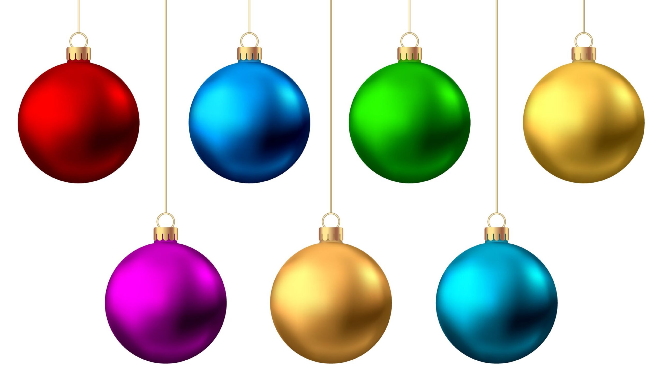 Download het extra gratis magazine; de eindejaarsspecial van 2024