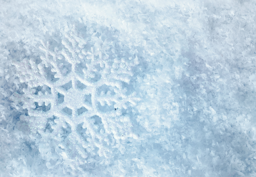 Download het extra gratis magazine; de eindejaarsspecial van 2024